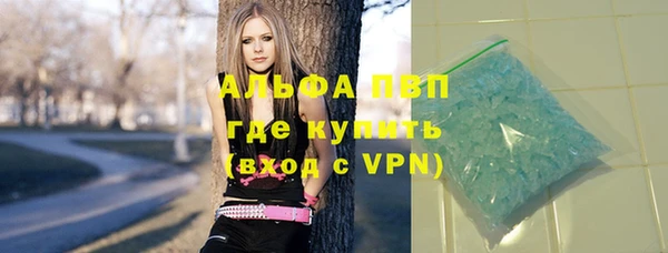 ешки Аркадак