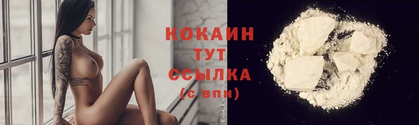 ешки Аркадак