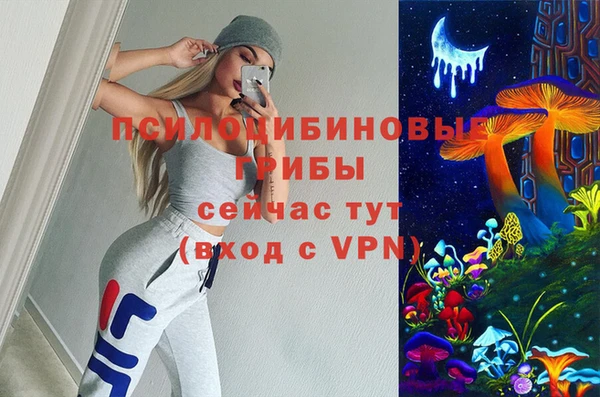 гидропоника Каменка