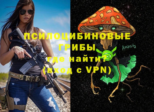 ешки Аркадак