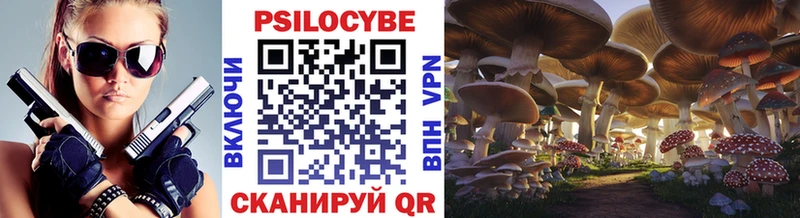 где найти наркотики  Озёрск  Галлюциногенные грибы Magic Shrooms 
